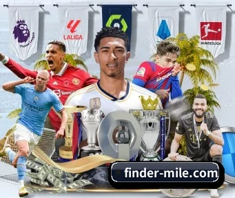 finder-mile.com APP